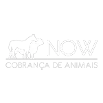 Ícone da NOW COBRANCAS LTDA