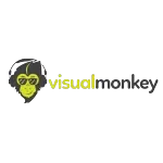 VISUAL MONKEY