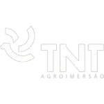 TNT