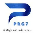 PRG7 REPRESENTACOES COMERCIAIS