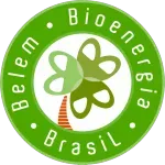 Ícone da BELEM BIOENERGIA BRASIL SA