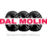 Ícone da DAL MOLIN PNEUS AGRICOLAS LTDA