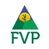 FVP