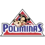 POLIMINAS