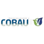 COBAU INDUSTRIA E COMERCIO DE MINERAIS LTDA