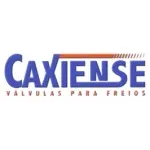 Ícone da INDUSTRIA DE VALVULAS CAXIENSE LTDA