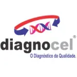 DIAGNOCEL COMERCIO E REPRESENTACOES LTDA