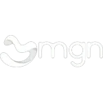 MGN CONSULTORIA