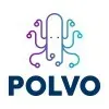 POLVO INTERNET