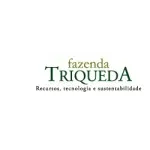 Ícone da TRIQUEDA EMPREENDIMENTOS LTDA