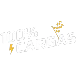 100 PORCENTO CARGAS