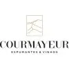 Ícone da COURMAYEUR DO BRASIL VINHOS LTDA