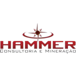 HAMMER CONSULTORIA