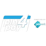 Ícone da PIN4PAY MEIOS DE PAGAMENTO SA