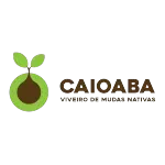 CAIOABA AGRO PASTORIL LTDA EM LIQUIDACAO