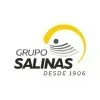 FAZENDA SALINAS IND E COM DE BEBIDAS LTDA