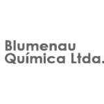 Ícone da BLUMENAU QUIMICA LTDA