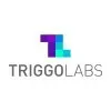 TRIGGO LABS CONSULTORIA EM TI LTDA