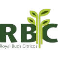 ROYAL BUDS COMERCIO E LICENCIAMENTO DE CITRICOS LTDA