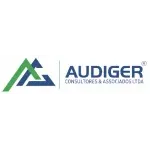 Ícone da AUDIGER AUDITORES  CONSULTORES ASSOCIADOS LTDA