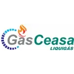 COMERCIAL DE GAS CEASA LTDA