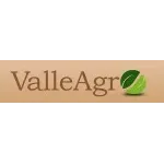 Ícone da VALLEAGRO NEGOCIOS  PARCERIAS LTDA