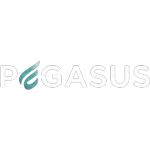 COMERCIAL PEGASUS  IMPORTACAO EXPORTACAO E DISTRIBUICAO LTDA