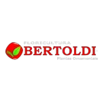 Ícone da FLORICULTURA BERTOLDI LTDA