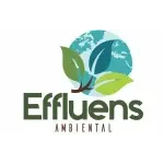 EFFLUENS AMBIENTAL