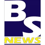 BS NEWS INFORMATICA