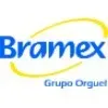 Ícone da BRAMEX  BRASIL MERCANTIL LTDA