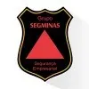 GRUPO SEGMINAS