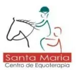 Ícone da CENTRO DE EQUOTERAPIA SANTA MARIA LTDA