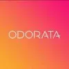 Ícone da ODORATA GESTAO E INVEST LTDA