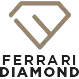 Ícone da FERRARI DIAMOND TOOLS INDUSTRIA LTDA
