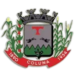 Ícone da CAMARA MUNICIPAL DE COLUNA