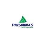 PRISMINAS PROCESSAMENTO DE DADOS LTDA