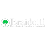 Ícone da BRAIDOTTI  BRAIDOTTI ENGENHARIA E CONSULTORIA LTDA