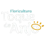 Ícone da FLORICULTURA TOQUE DE ANJO LTDA