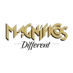 BANDA MAGNIFICOS PRODUCOES E EVENTOS ARTISTICOS LTDA