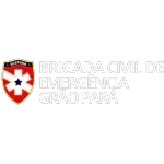 Ícone da BRIGADA CIVIL DE EMERGENCIAS GRAO PARA LTDA