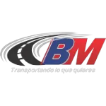 Ícone da BM TRANSPORTE DE CARGAS LTDA