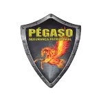 Ícone da PEGASO SEGURANCA PATRIMONIAL LTDA