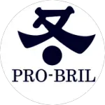 PRO BRIL INDUSTRIA E COMERCIO LTDA