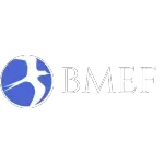 Ícone da BMF EMPREENDIMENTOS LTDA