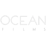 Ícone da OCEAN PRODUCAO DE FILMES LTDA