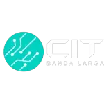 Ícone da CIT  SERVICOS E INTERNET LTDA