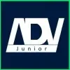 ADV JUNIOR CONSULTORIA JURIDICA