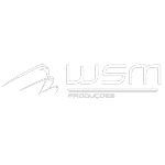 Ícone da WSM PRODUTORA DE VIDEOS LTDA