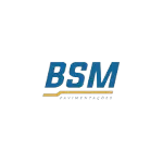 BSM CONSTRUCOES E PAVIMENTACOES